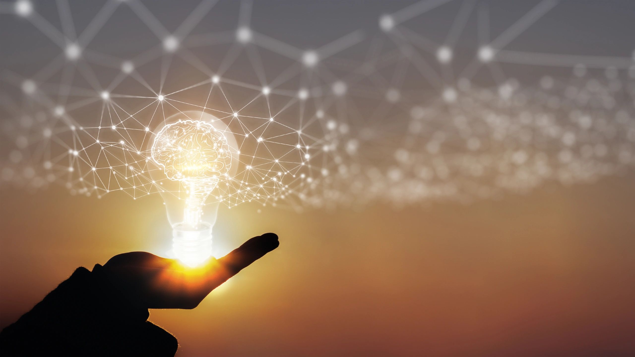 Graph showing business growth trends